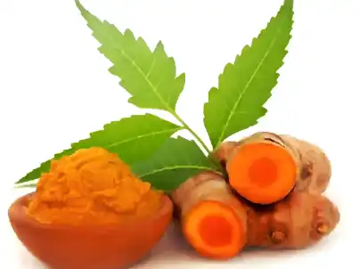 Best Turmeric Oil for Anti-Inflammatory Benefits